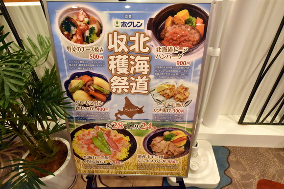 新日本海フェリー「らべんだあ」乗船記その4_e0158925_2394371.jpg