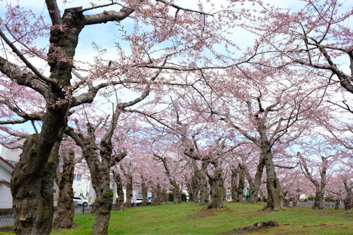 日記2018.04.27_a0000029_21272561.jpg