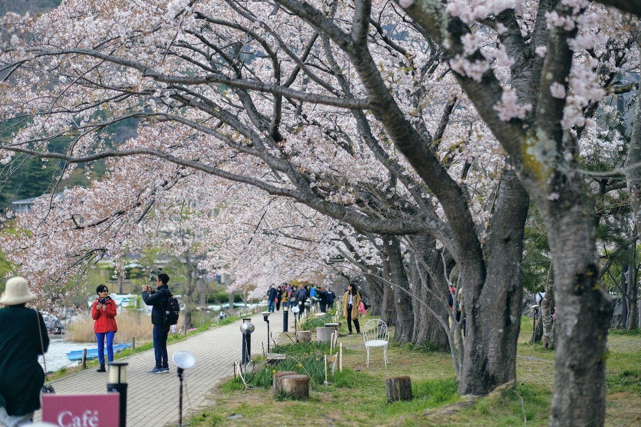 バスツアー2 御朱印7 新倉山浅間公園 〜 ほうとう不動 〜 河口湖_b0024832_00095510.jpg