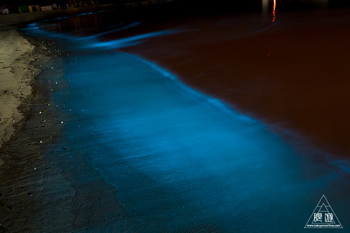 711 島根町 ～夜光虫が照らす浜辺～ : 眼遊記