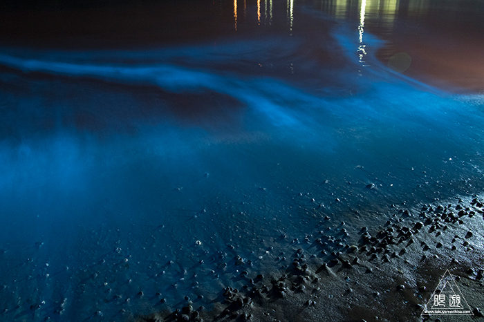 711 島根町 ～夜光虫が照らす浜辺～ : 眼遊記