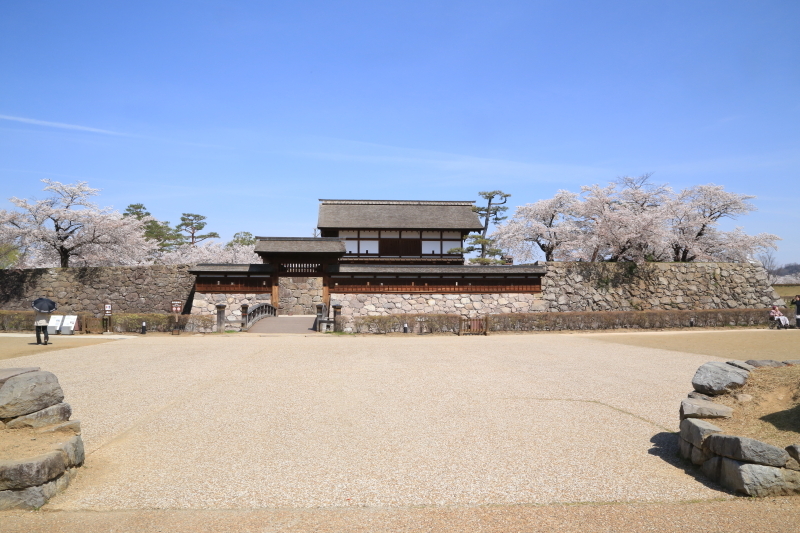 １８年桜紀行２９・信州長野市松代城跡の桜その１_f0229832_23503566.jpg