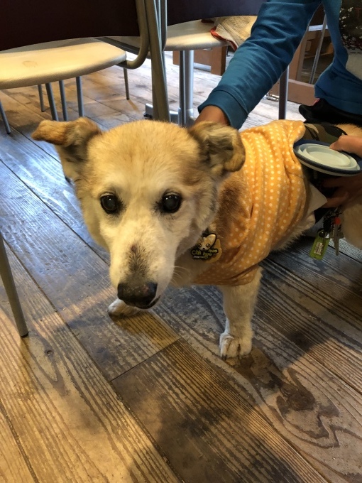 b0369239_15582126.jpeg