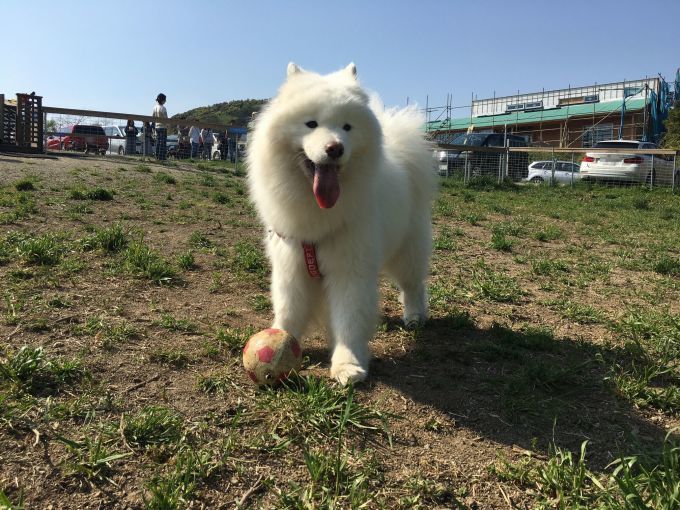 2018年 葉山オフ その2_f0128542_01232348.jpg