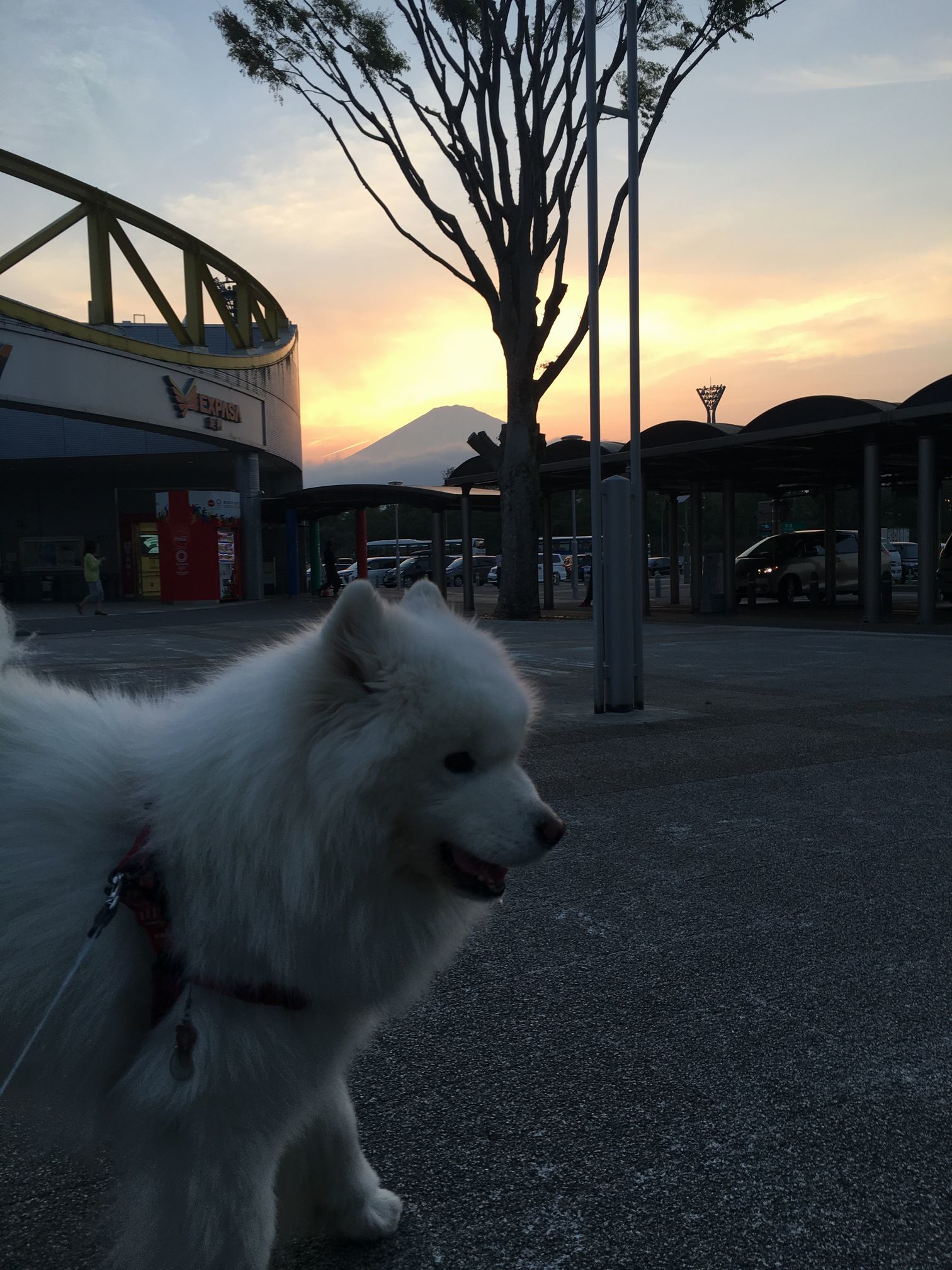 2018年 葉山オフ その2_f0128542_01561252.jpg