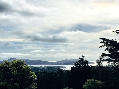 a0170045_06323053.jpeg
