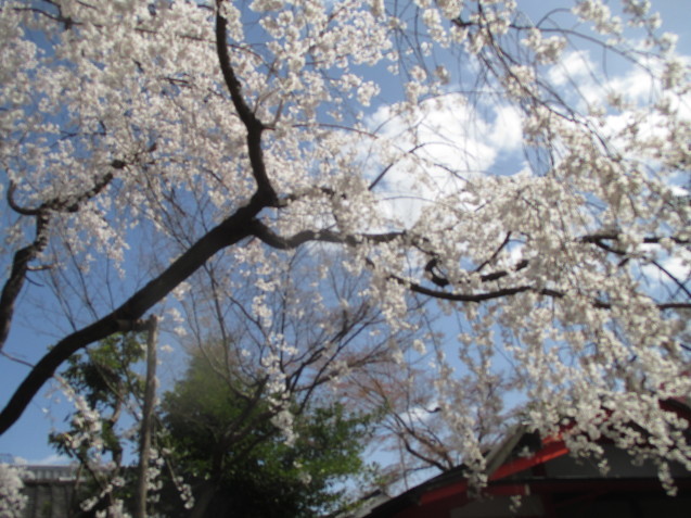 a0307846_16314018.jpg