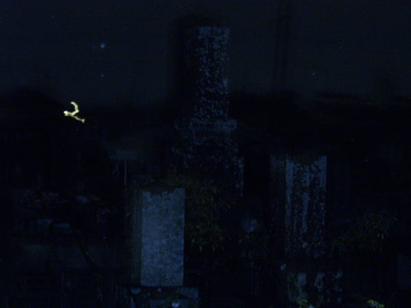c0017651_18075011.jpg
