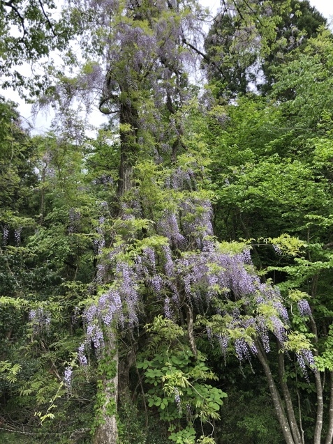 b0214652_21590986.jpeg