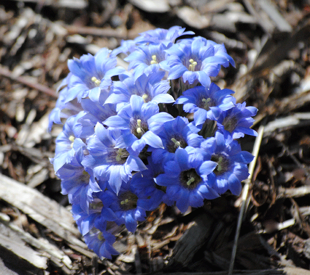 a0001354_22325550.gif
