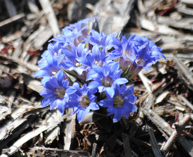 a0001354_22330972.gif
