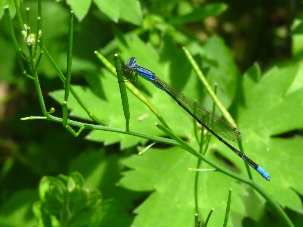 a0018655_09231996.jpg