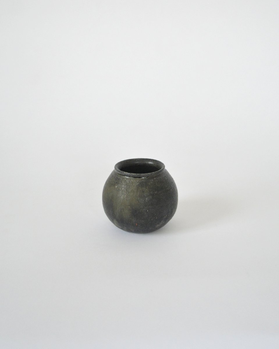 「長谷川奈津展 林檎の花」 7日目_d0087761_15193436.jpg