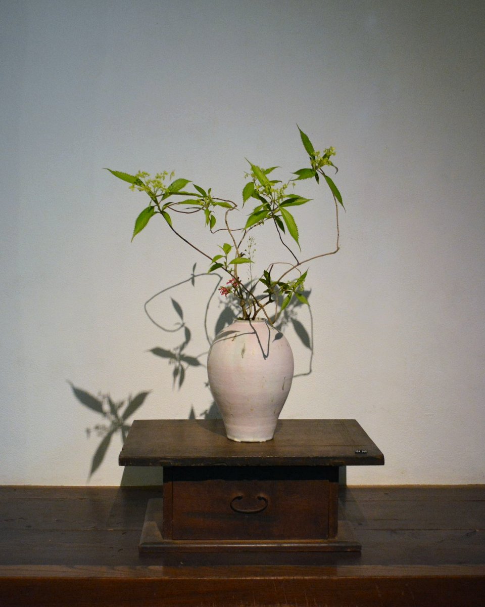 「長谷川奈津展 林檎の花」 7日目_d0087761_15214448.jpg