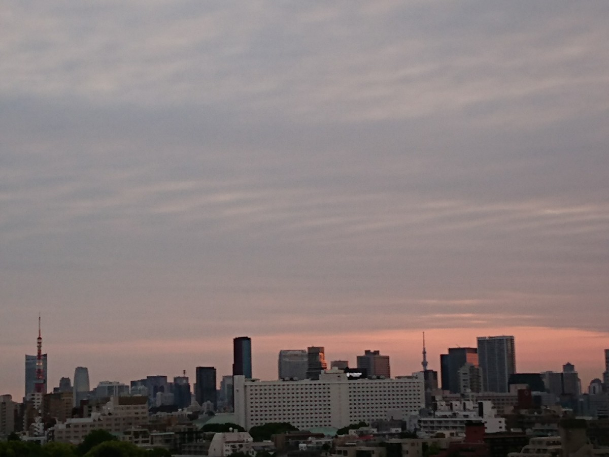 c0100865_05172931.jpg