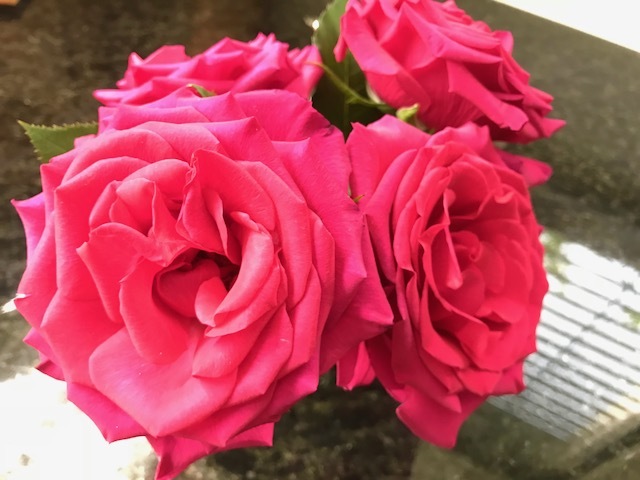 お花見🌸そしてケーキ♪_c0194065_17075917.jpg