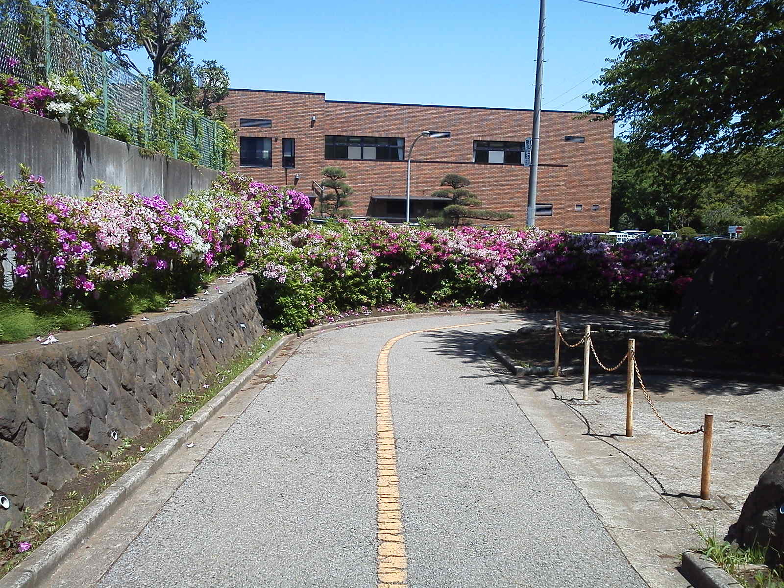 b0155973_16581947.jpg