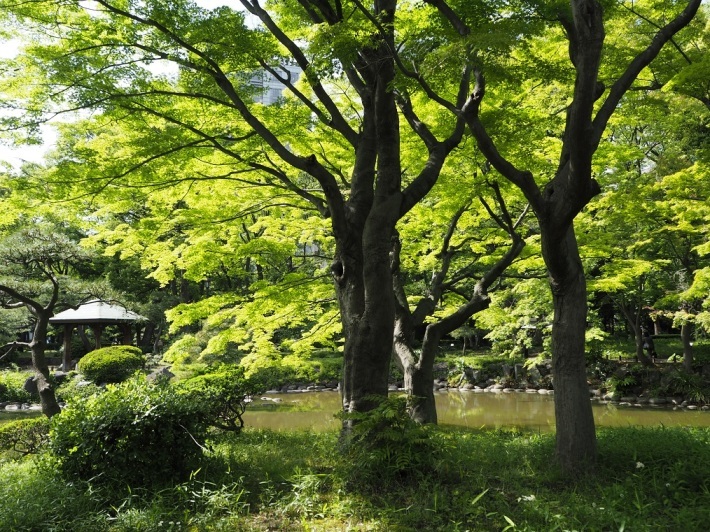 b0368673_08380106.jpg