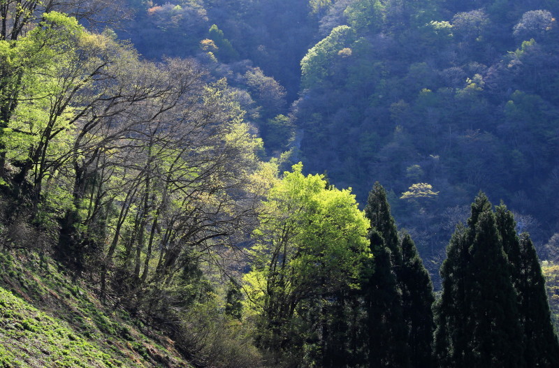b0093678_14555266.jpg