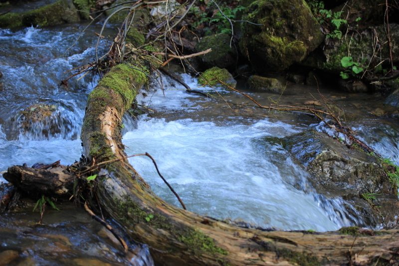 b0093678_15015535.jpg