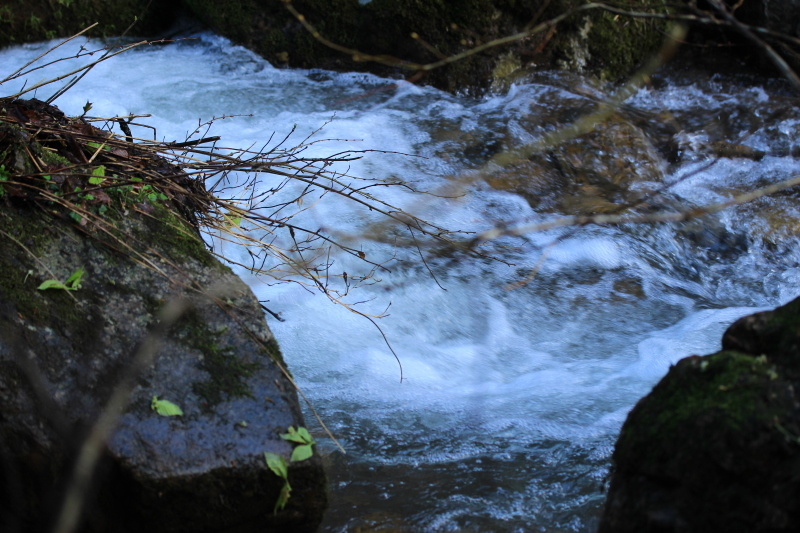 b0093678_15131847.jpg