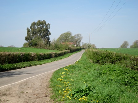 a0208783_61437.jpg