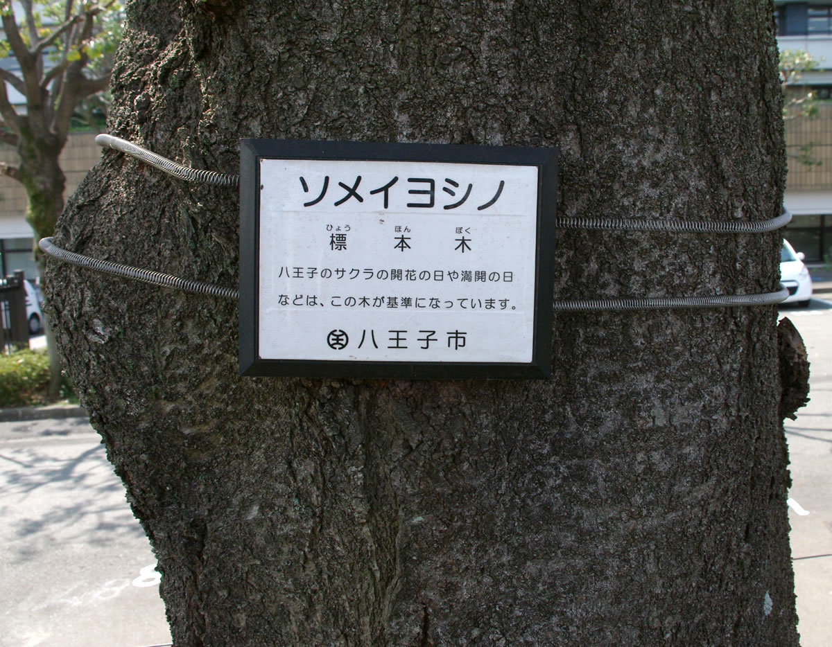 b0123486_09012331.jpg