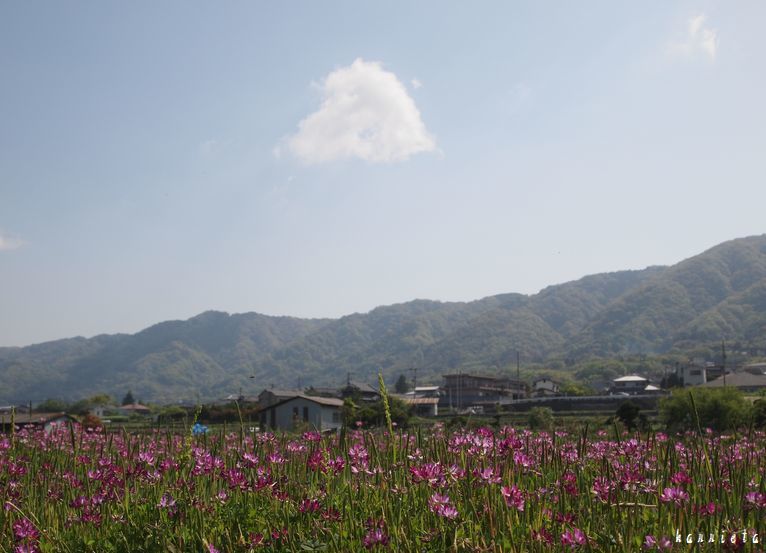 c0152690_23433612.jpg