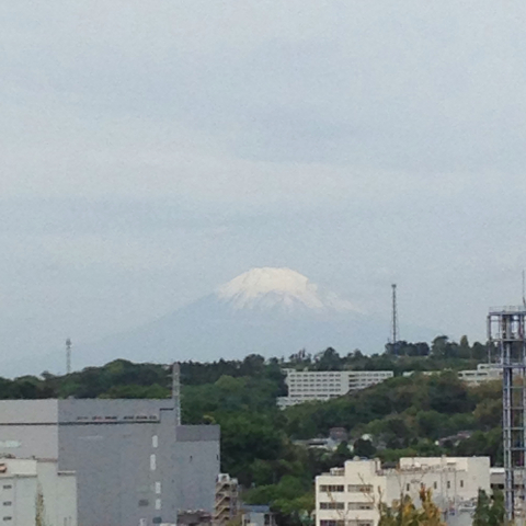曇りの朝_d0233891_08510378.jpg