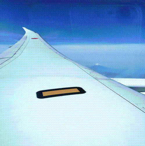 e0199691_01062941.gif
