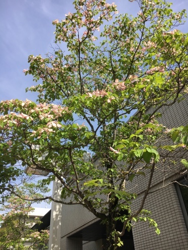 今日はゆっくり_f0347891_18374998.jpeg