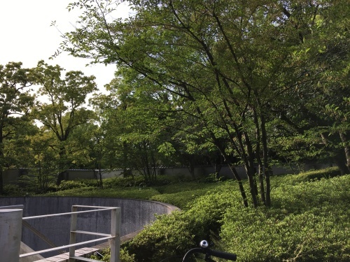 今日はゆっくり_f0347891_18380351.jpeg