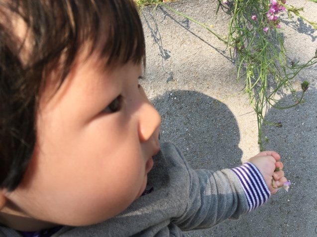 d0157497_16482334.jpeg