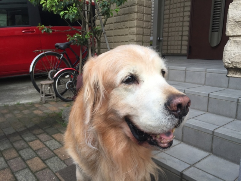 お誕生日祝い、ありがとうございました。_b0275998_10393164.jpeg