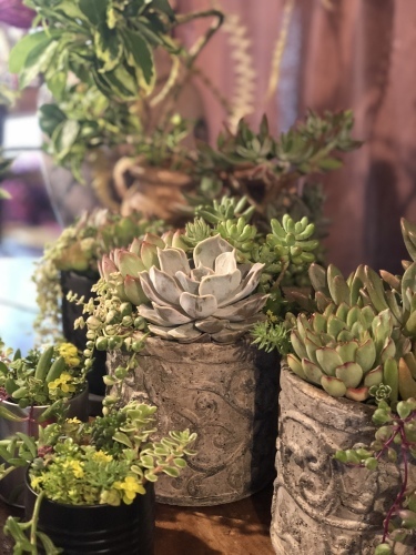 d0266299_18091675.jpeg