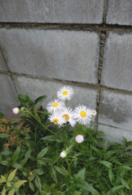 e0025300_2111320.jpg