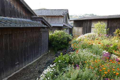 海界の村を歩く 東シナ海 小値賀大島_d0147406_23063972.jpg