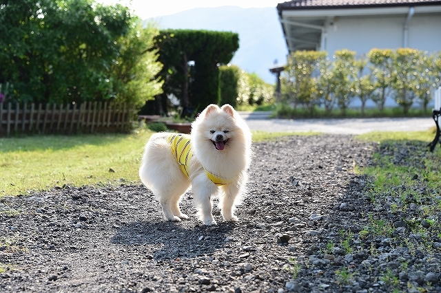 とりあえず、のんびりと_d0360206_02513550.jpg