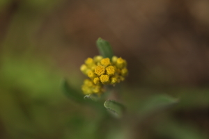 a0251508_0225890.jpg