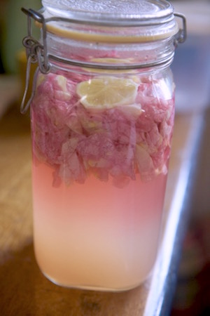 薔薇のレシピ色々 ジュース サワー 花酒 世話要らずの庭