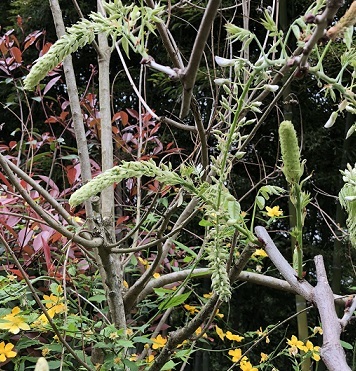 f0371014_22072211.jpg