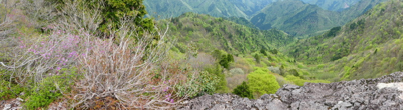 d0170615_17153134.jpg