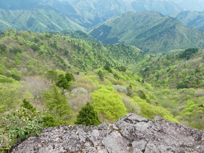 d0170615_17153835.jpg