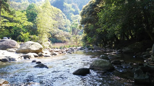 那珂川町 中之島公園 ほんと ときどき日記