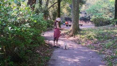 那珂川町 中之島公園 ほんと ときどき日記 那珂川町 中之島公園 ほんと ときどき日記