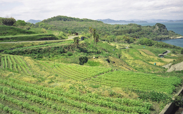 d0339617_06083379.jpg