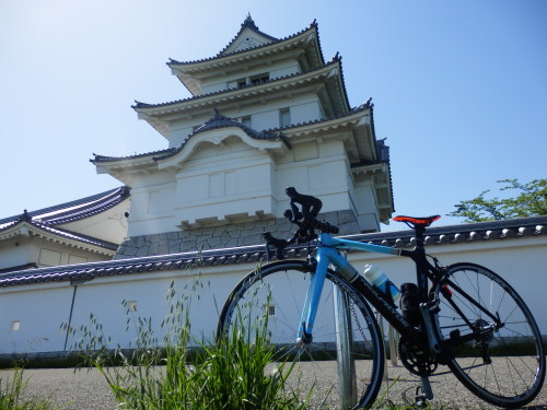 常総市地域交流センターと関宿城博物館_e0341417_21050884.jpg