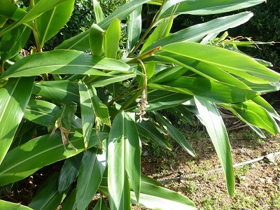 c0227720_00493404.jpg