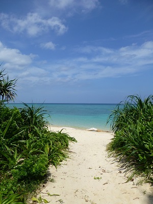 c0227720_14371651.jpg