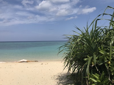 c0227720_14392931.jpg